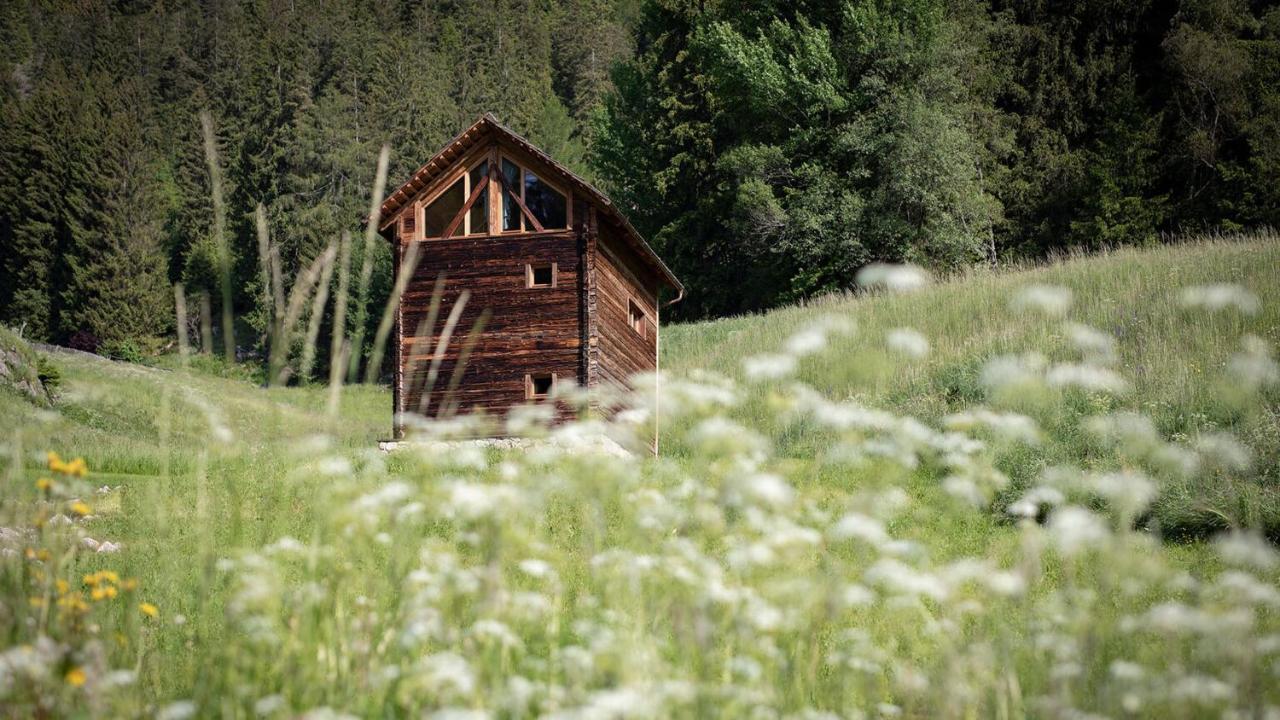 Burgfrieder Muehle Villa Oberrasen Exteriör bild